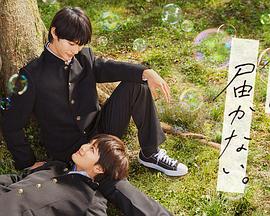 郑州做网站优化运营商