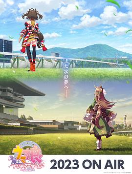 安阳新站网站优化排名